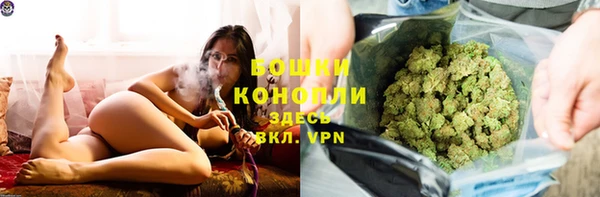 гидра Богданович