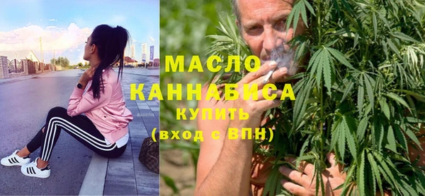 гидра Богданович