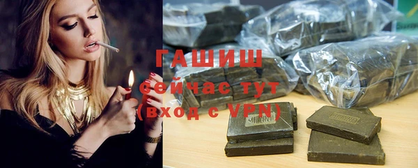 гидра Богданович